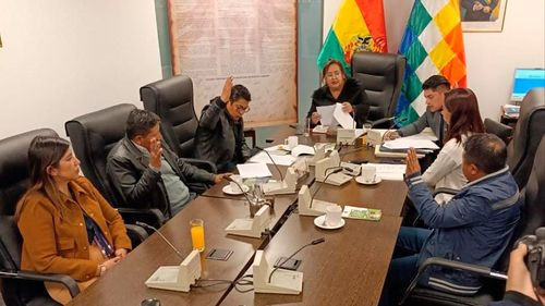 Avanza proyecto de ley para proteger a menores de delitos sexuales en entornos digitales