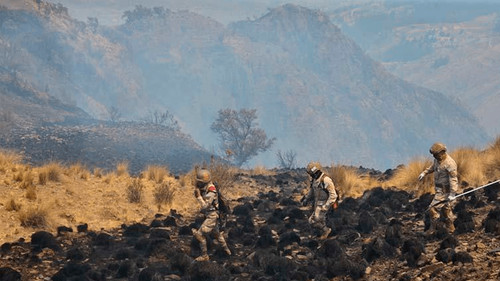 Incendio devasta más de 200 hectáreas en el parque nacional Tunari