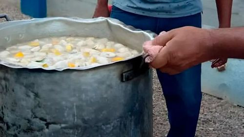 Denuncia por hallazgo inusual en una sopa desata investigación en Potosí