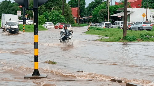 Fuertes vientos y tormenta causan caídas de árboles y drenajes inundados en Santa Cruz