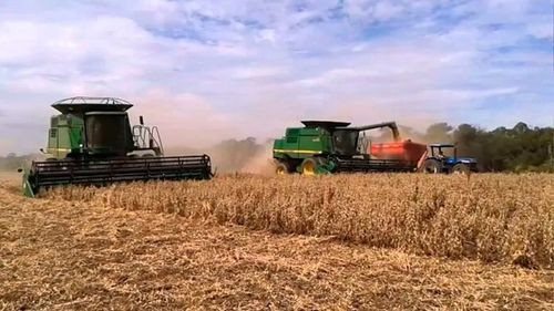 Productores de soya alertan sobre riesgo de cosecha por escasez de diésel