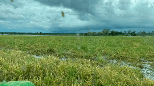 Arroceros en Beni alertan pérdidas millonarias por inundaciones y escasez de diésel