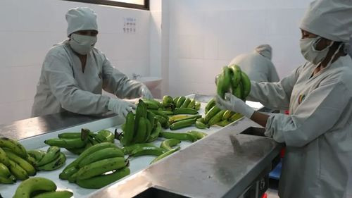 Bolivia acumula un déficit comercial superior a $us 570 millones hasta abril de 2025, según el INE