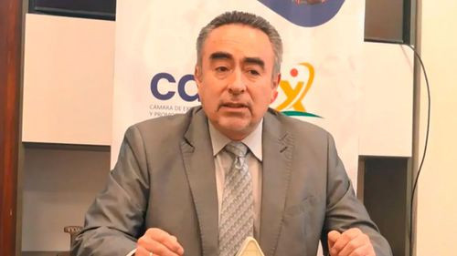 Exportadores piden tercera pericia a madera retenida en Chile