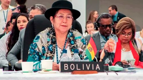 Bolivia pide a la OEA acompañar elecciones ante clima de tensión y violencia