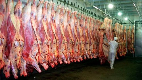 Gobierno señala a ganaderos por alza en el precio de la carne y mantiene restricción a exportaciones