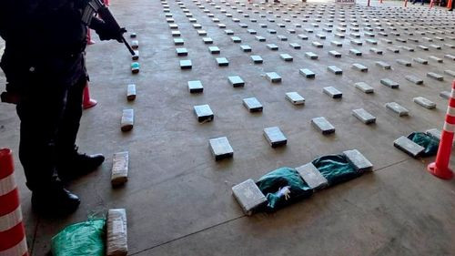 Patrullaje en Misicuni deriva en el hallazgo de más de dos toneladas de marihuana