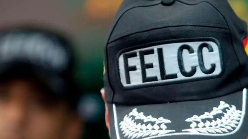 Mujer de 77 años es hallada muerta tras salir a pasear con su perro