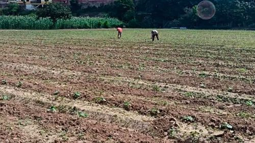 Agricultores de los valles cruceños en crisis por falta de combustible