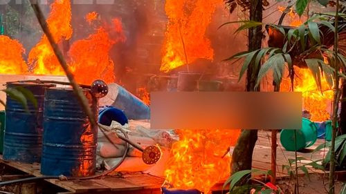 Imagen de Destruyen laboratorio de droga en el trópico