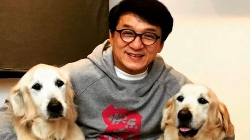 &quot;Jackie Chan renuncia a la herencia para su hijo y dona su fortuna a causas benéficas