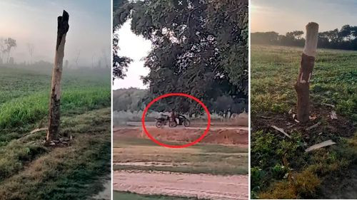 Imagen de Anapo denuncia inacción del Gobierno frente a nuevos avasallamientos en Pozo del Tigre