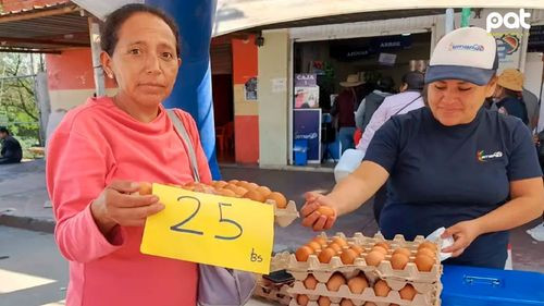 Feria Del Campo a la Olla llega este viernes a la capital cruceña
