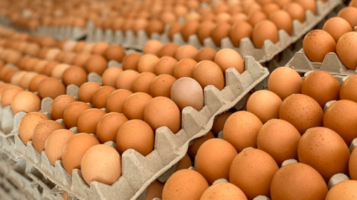 “Los precios altos y la escasez del huevo son por el contrabando a Perú”