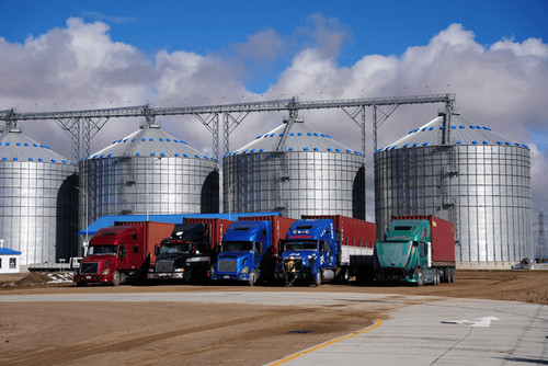 Gestión gubernamental asegura más de 1.400 toneladas de trigo para fortalecer la seguridad alimentaria de madres bolivianas