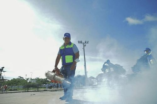 Sedes reporta más de 1.300 casos de chikungunya
