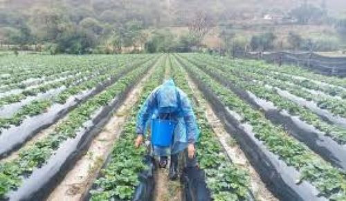 Santa Cruz: advierten riesgo de nevada y helada negra en los Valles y Cordillera
