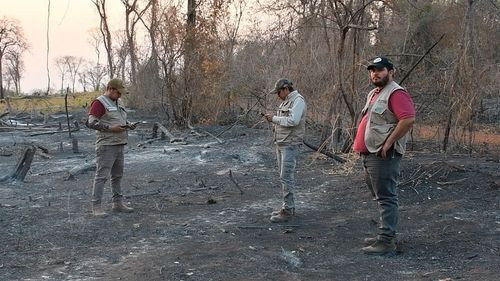 ABT inicia 48 procesos penales y emite 227 citaciones por desmontes y quemas ilegales