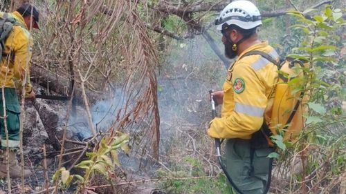 Gobernación reporta 65.300 hectáreas afectadas por incendios forestales