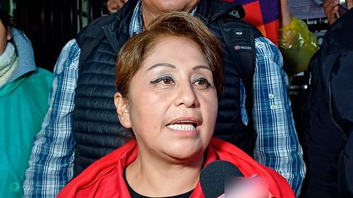 Justicia restituye personería a PAN-BOL