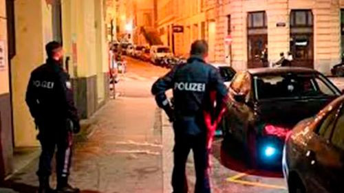 Joven chilena asesinada a hachazos en Viena: Amigos presencian el ataque en videollamada