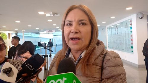 Imagen de Senadora plantea fortalecer relaciones entre Bolivia Perú tras cambio de liderazgo