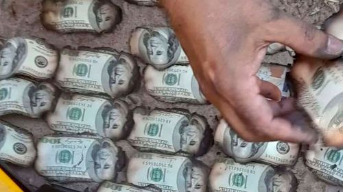 Avioneta boliviana siniestrada es hallada con dólares y municiones