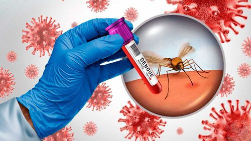 Cómo reconocer el chikungunya y cuándo acudir al médico