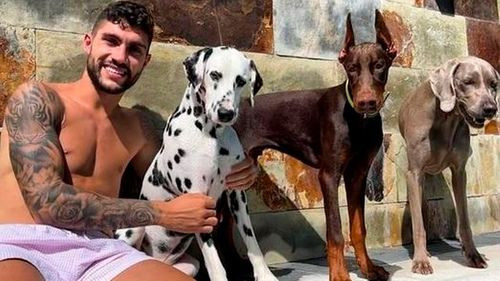 Carles Pérez, ingresado en el hospital  tras sufrir un mordisco de un perro  en los genitales