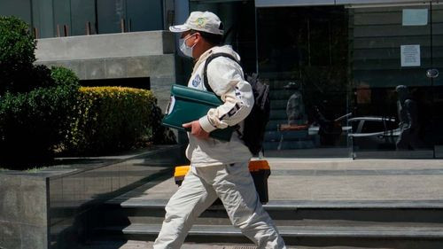 Imagen de Cerimedo alquiló oficina por Bs 25.000 para asesoría al Gobierno, según Fiscalía