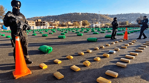 Golpe al narcotráfico: descubren 171 fábricas de cocaína en Cochabamba