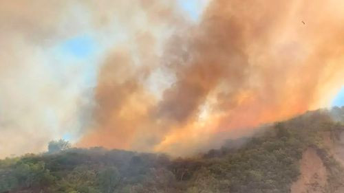 Potosí: mujer muere al intentar apagar incendio forestal en Toro Toro