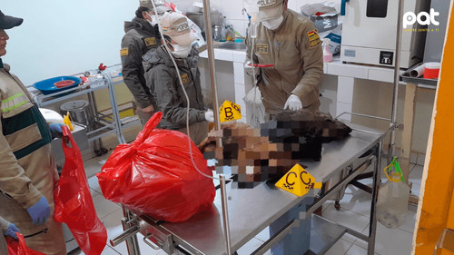 Investigan muerte de cinco perros al interior del Centro de Zoonosis de Oruro
