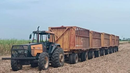 Productores cañeros denuncian paralización de la zafra por falta de diésel