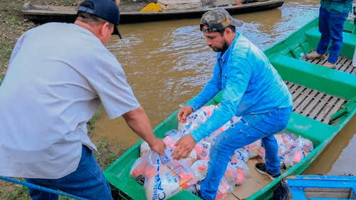 Beni declara emergencia epidemiológica por riesgo de brote de dengue tras inundaciones