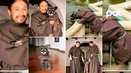Perrito abandonado es adoptado por monjes franciscanos y ahora es &quot;fray bigotes&quot;