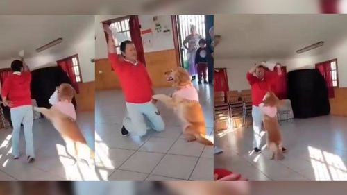 Un hombre y su perrito sorprenden en las redes sociales con una tierna coreografía de cueca