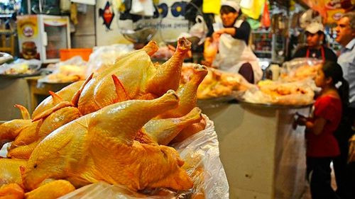 Avicultores reducen el precio del pollo para evitar pérdidas en Cochabamba