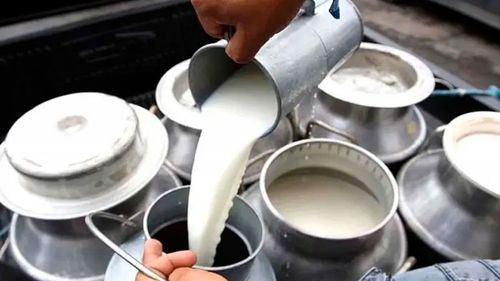 Bloqueos generan pérdidas de más de Bs 1 millón diario en sector lechero