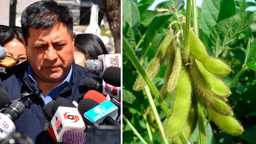 Gobierno convocará a ganaderos y soyeros por la paralización de exportaciones