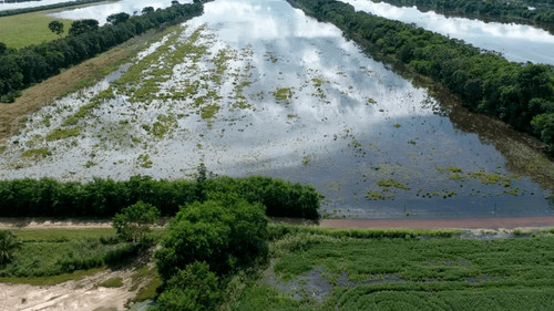 Desborde del río Grande y falta de diésel afectan 30.000 hectáreas de cultivos en el norte cruceño