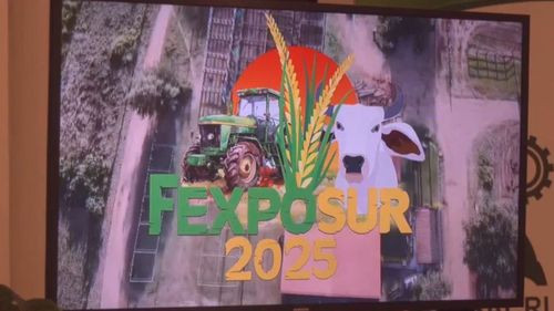 Cabezas celebra la Fexposur con música, cultura y tradición chaqueña este fin de semana