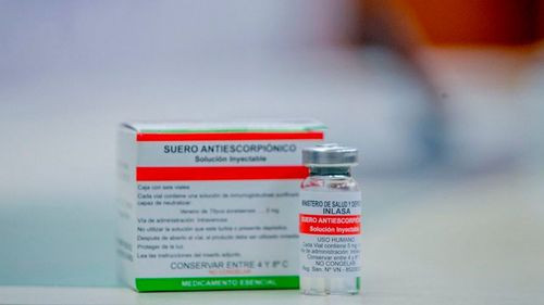 Presentan el antídoto antiescorpiónico producido en Bolivia