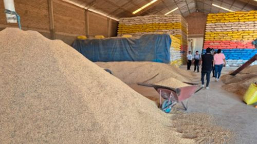 gobierno y arroceros en el beni buscan soluciones para garantizar producción y abastecimiento interno