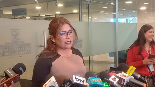 Diputada Pinto respalda activación de seguro por daños a vehículos