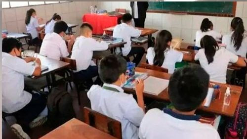 Imagen de Licencia escolar por chikungunya podrá tramitarse con una llamada en Santa Cruz