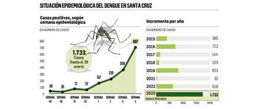 Santa Cruz supera los mil casos de chikunguña en enero y entra en fase de alta transmisión