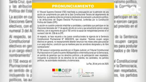 TSE expresa preocupación por acción judicial que busca inhabilitar candidatos en elecciones 2025