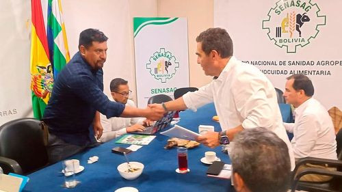 Gobierno autoriza uso de soya &quot;HB4&quot; resistente a la sequía para impulsar producción agrícola