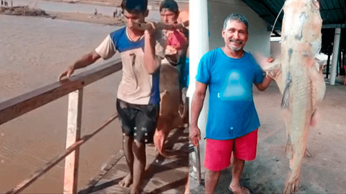 Impresionante hallazgo en el río Grande: capturan un pez de más de 40 kilos